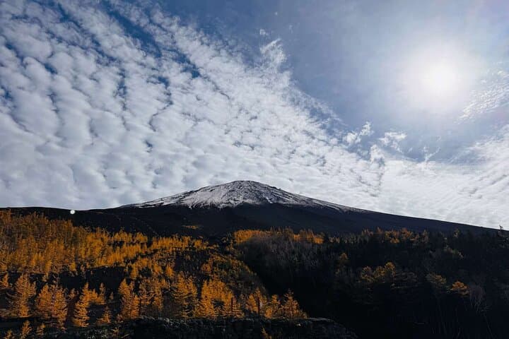 Mt Fuji and Hakone 1-Day Bus Tour Return by Shinkansen — photo 13