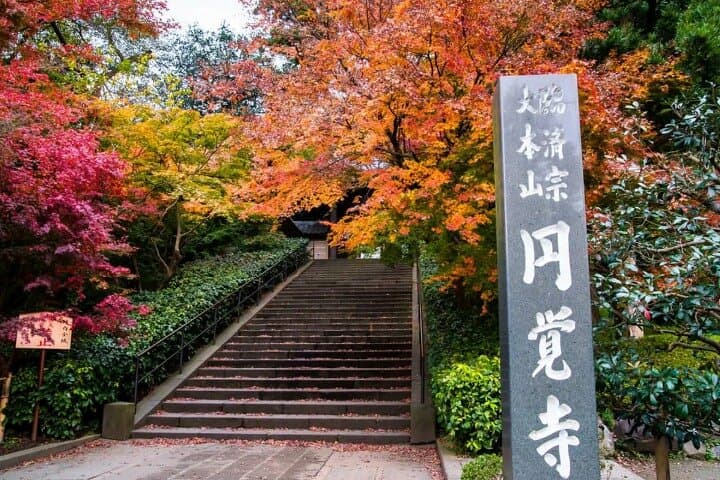 Private Temples and Nature in North Kamakura Walking Tour — photo 3