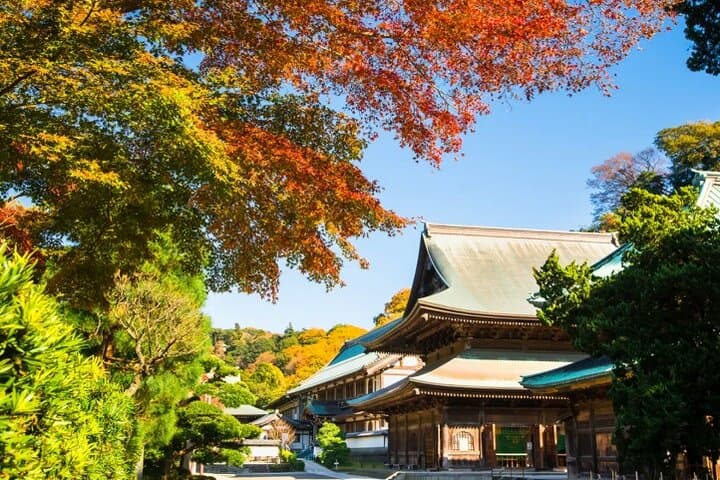 Private Temples and Nature in North Kamakura Walking Tour — photo 8
