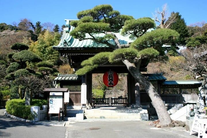 Explore Great Buddha and Temples in Kamakura Private Tour — photo 11