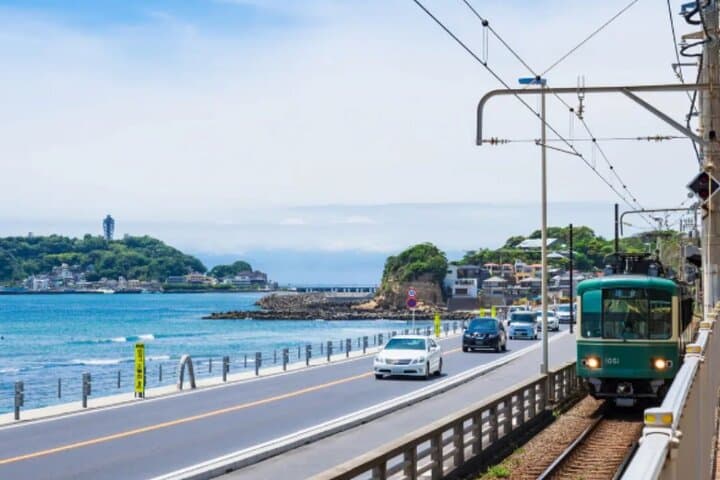 Explore Great Buddha and Temples in Kamakura Private Tour — photo 8