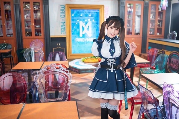 Akihabara Anime and Otaku Culture Experience Tour