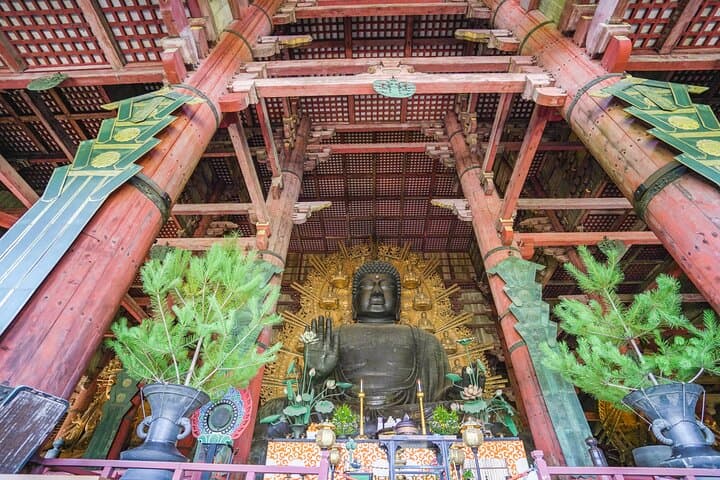 Nara Half Day Trip Walking Tour (Private Option Available) — photo 9