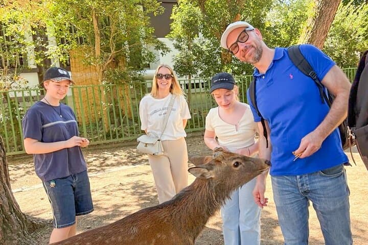 Nara Half Day Trip Walking Tour (Private Option Available) — photo 7