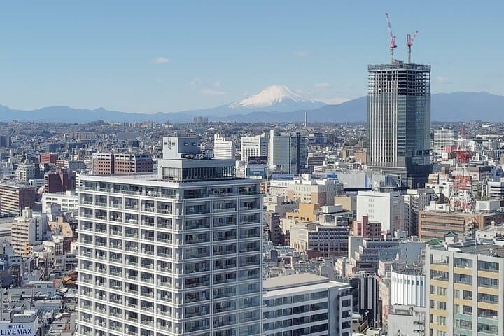 Discover the Best of Yokohama: 4.5-Hour Day Tour — photo 6