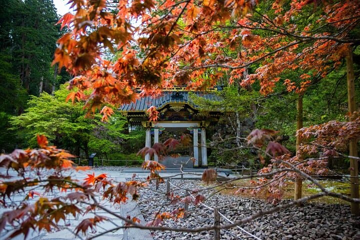 Nikko Day Private Tour With English Speaking Guide — photo 3