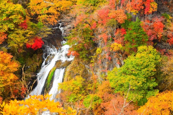 Nikko Day Private Tour With English Speaking Guide — photo 13