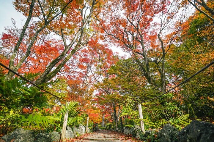 Kyoto Arashiyama Bamboo forest & Hidden Garden Walking Tour — photo 6