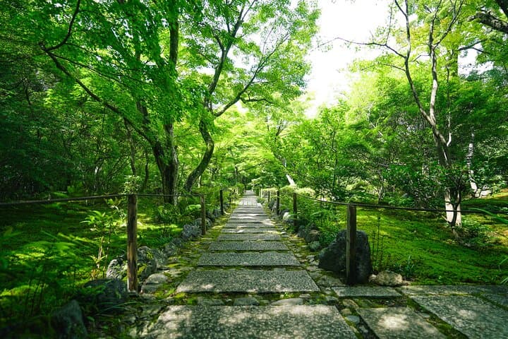 Kyoto Arashiyama Bamboo forest & Hidden Garden Walking Tour — photo 4