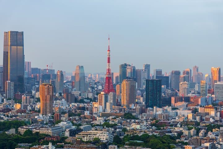 Private Shore Tour: Tokyo Highlights & Hidden Gems — photo 2