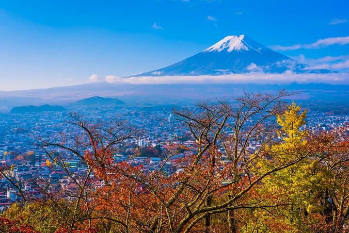 Mt. Fuji Private Day Trip from Tokyo with English-Speaking Driver — photo 11