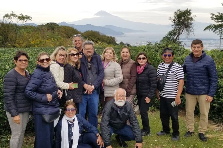 Fuji Area Cultural Highlights Day Tour from Shimizu Port by Car — photo 5