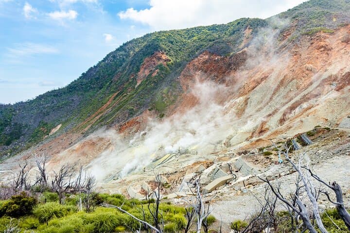Private Hakone Day Tour from Tokyo Scenic and Mystical Experience — photo 2