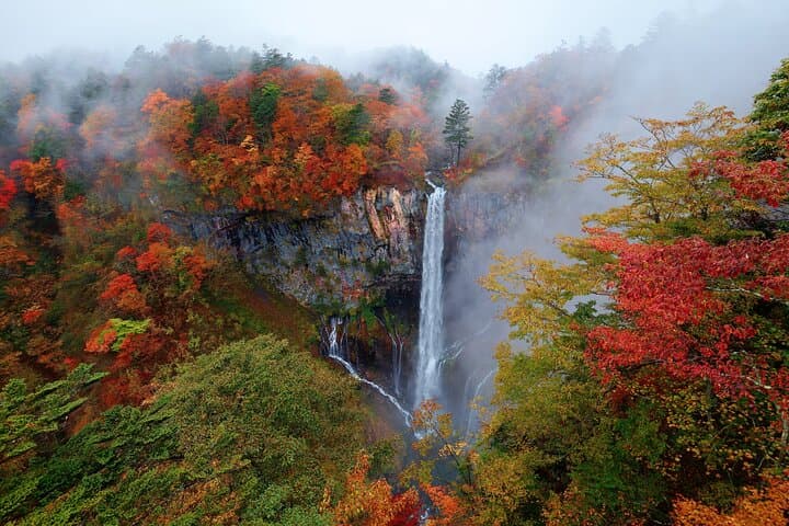 Private Nikko Day Trip from Tokyo Waterfalls, Lakes and Mountains — photo 2