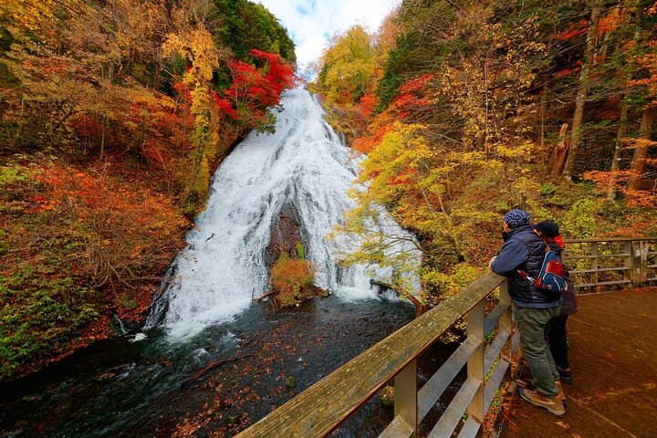 Private Nikko Day Trip from Tokyo Waterfalls, Lakes and Mountains — photo 3