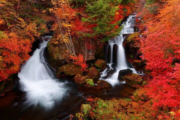 Private Nikko Day Trip from Tokyo Waterfalls, Lakes and Mountains — photo 4