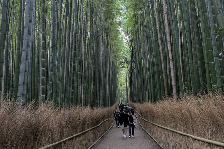 Kyoto Private Tour – Licensed Guide & Car from Osaka/Kyoto — photo 5