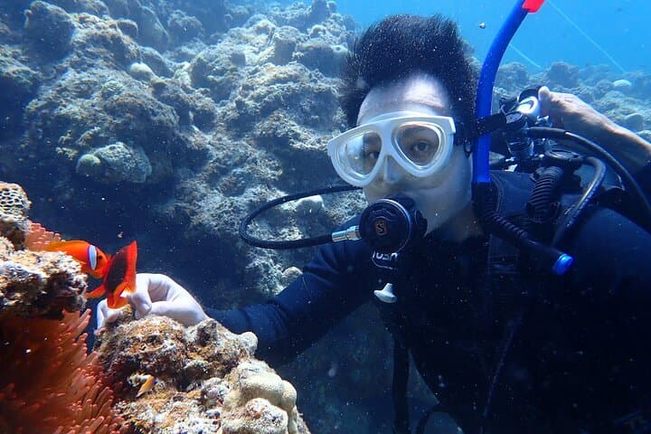 【Okinawa Post-Ishigaki Island / Sea Turtle】 Diving for 2 persons only - Novices / No License Available - — photo 9