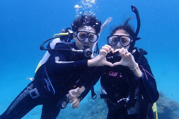 【Okinawa Post-Ishigaki Island / Sea Turtle】 Diving for 2 persons only - Novices / No License Available - — photo 11