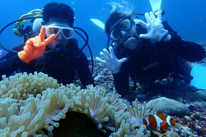 【Okinawa Post-Ishigaki Island / Sea Turtle】 Diving for 2 persons only - Novices / No License Available - — photo 12