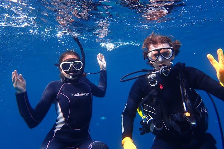 【Okinawa Post-Ishigaki Island / Sea Turtle】 Diving for 2 persons only - Novices / No License Available - — photo 13