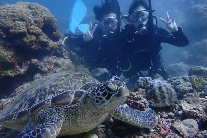 【Okinawa Post-Ishigaki Island / Sea Turtle】 Diving for 2 persons only - Novices / No License Available - — photo 3
