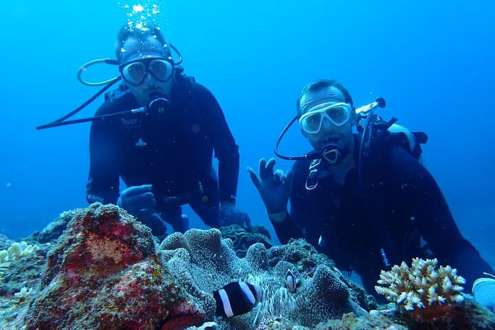 【Okinawa Post-Ishigaki Island / Sea Turtle】 Diving for 2 persons only - Novices / No License Available - — photo 15