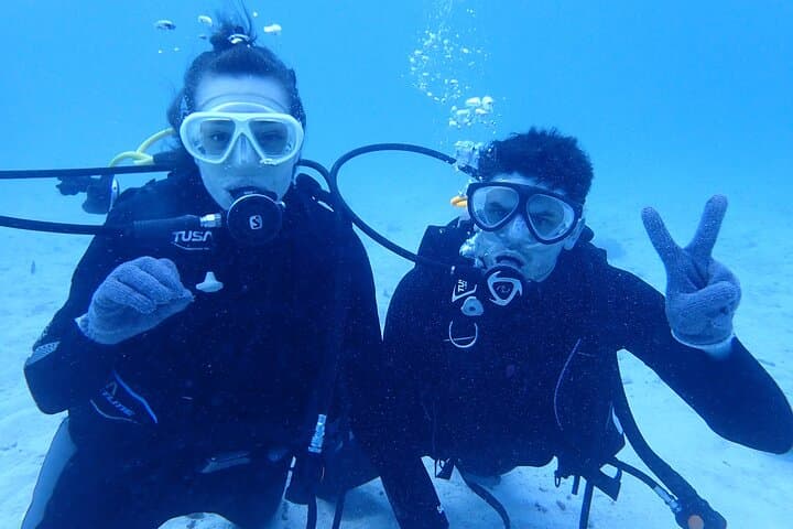 【Okinawa Post-Ishigaki Island / Sea Turtle】 Diving for 2 persons only - Novices / No License Available - — photo 16