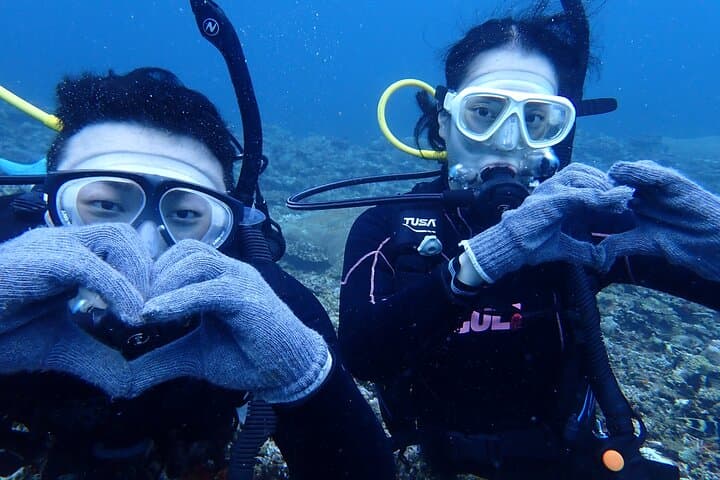 【Okinawa Post-Ishigaki Island / Sea Turtle】 Diving for 2 persons only - Novices / No License Available - — photo 17