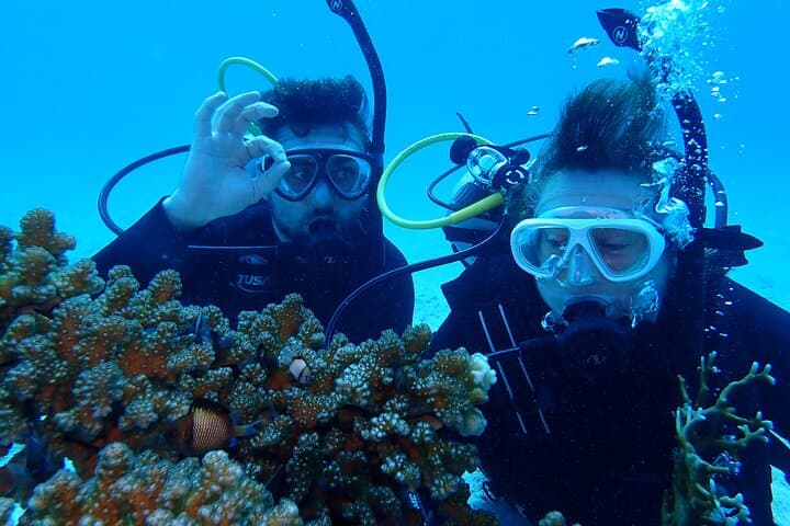 【Okinawa Post-Ishigaki Island / Sea Turtle】 Diving for 2 persons only - Novices / No License Available - — photo 18