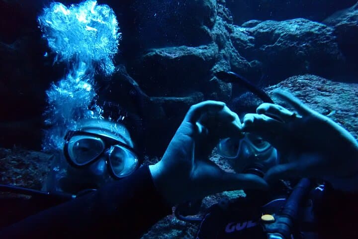 [Half day] Charter diving experience at Ishigaki Island - Novices welcome!!～ — photo 12