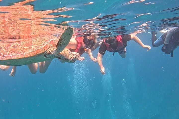 Sea Turtle Snorkel Tour to Swim with Corals and Fish on Ishigaki Island～ — photo 4