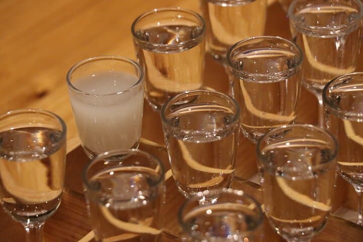 Sake and Izakaya Night in Fushimi Kyoto — photo 4