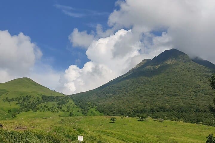 Beppu Luxury Nature Escape: Highland Walk Sky Bridge and Yufuin — photo 7