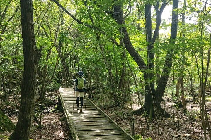 Beppu Luxury Nature Escape: Highland Walk Sky Bridge and Yufuin — photo 10