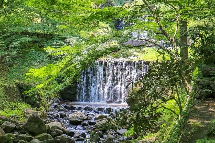 Gifu: Yoro Unforgettable Walkable Artwork — photo 4