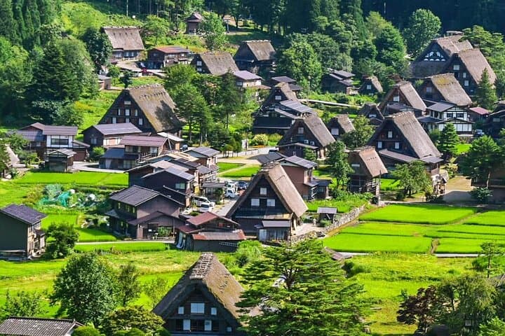 7 Day Private Tour of Tokyo Japan Highlights — photo 3