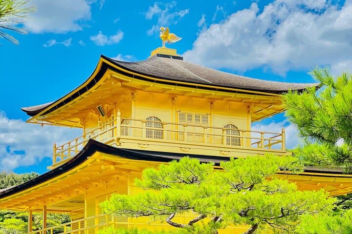 Kyoto and Nara Highlights with English speaking Driver and Guide — photo 5