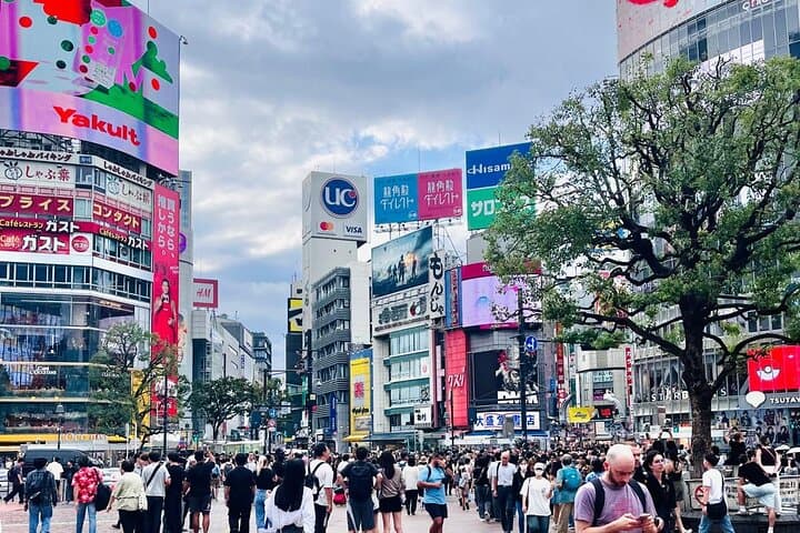 Best of Tokyo: Shinjuku and Shibuya Tour for First Time Visitors — photo 2