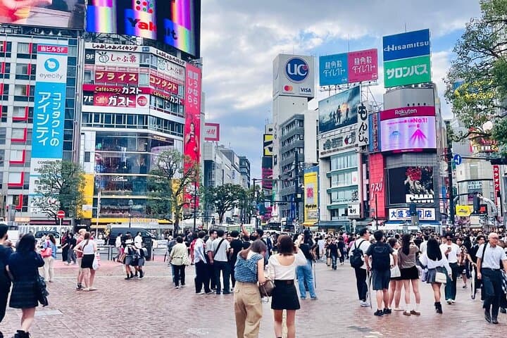 Best of Tokyo: Shinjuku and Shibuya Tour for First Time Visitors — photo 8