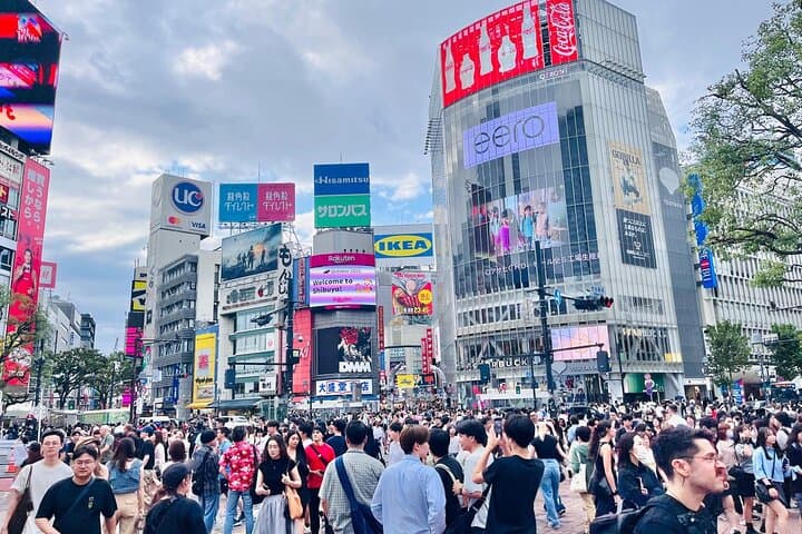 Best of Tokyo: Shinjuku and Shibuya Tour for First Time Visitors — photo 11
