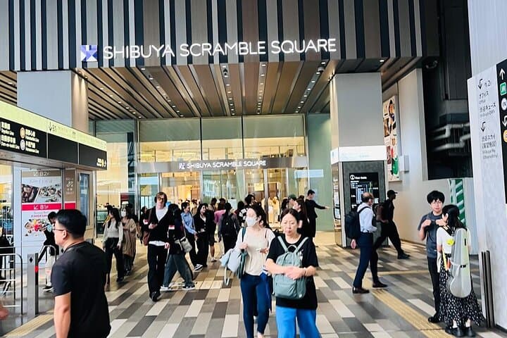 Best of Tokyo: Shinjuku and Shibuya Tour for First Time Visitors — photo 13
