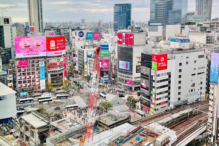 Best of Tokyo: Shinjuku and Shibuya Tour for First Time Visitors — photo 15