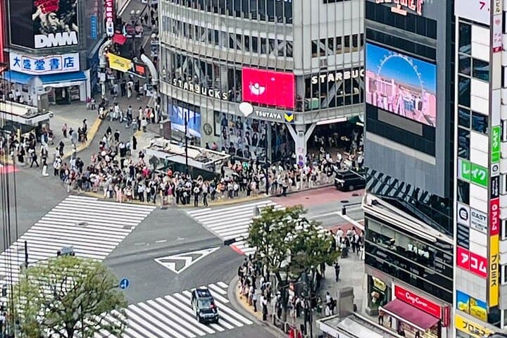 Best of Tokyo: Shinjuku and Shibuya Tour for First Time Visitors — photo 16