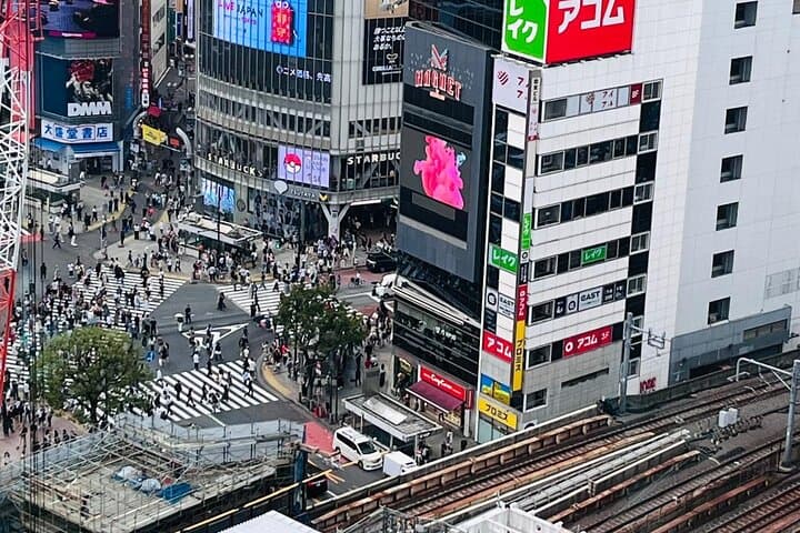 Best of Tokyo: Shinjuku and Shibuya Tour for First Time Visitors — photo 17