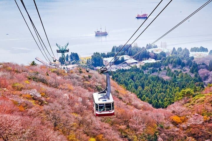 Hakone & Mt Fuji Private Custom Tour with English Driver-guide — photo 5