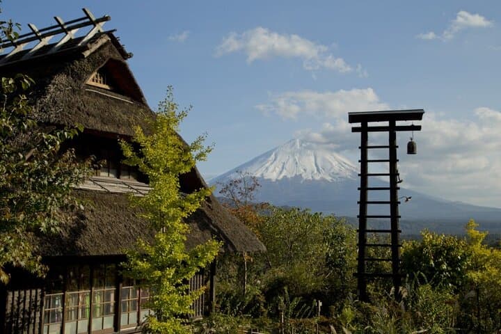 Hakone Private & Custom Day Tour with English Driver-guide — photo 10