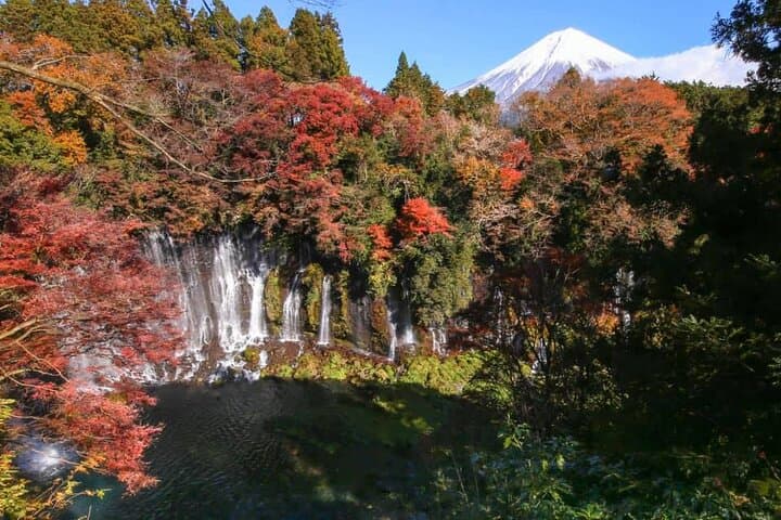 Hakone & Mt Fuji Private Custom Tour with English Driver-guide — photo 13