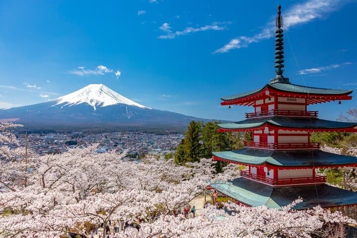 Hakone & Mt Fuji Private Custom Tour with English Driver-guide — photo 15