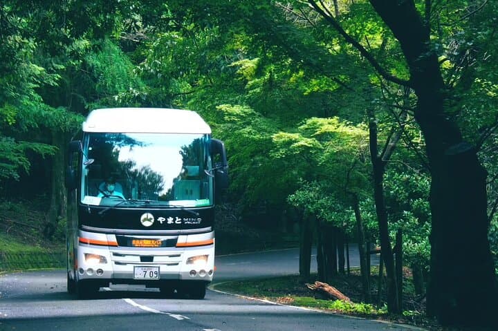 Nara Mt.Wakakusa Hilltop Bus From JR or Kintetsu Nara Station — photo 4